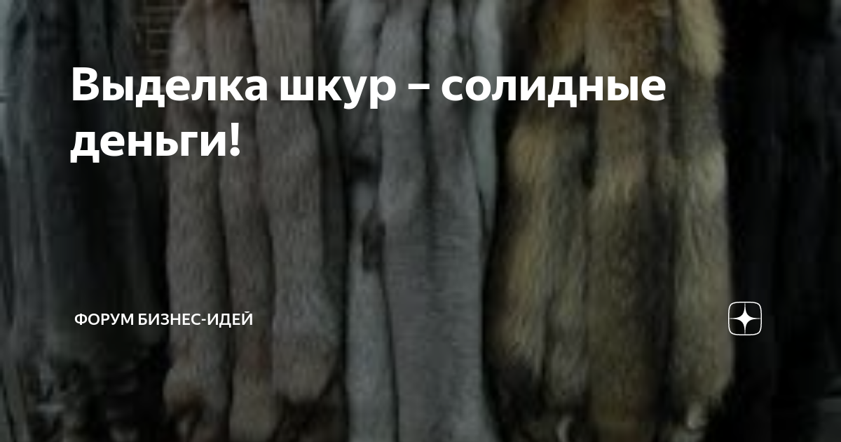 Выделка шкуры медведя в домашних условиях — подробное описание технологии