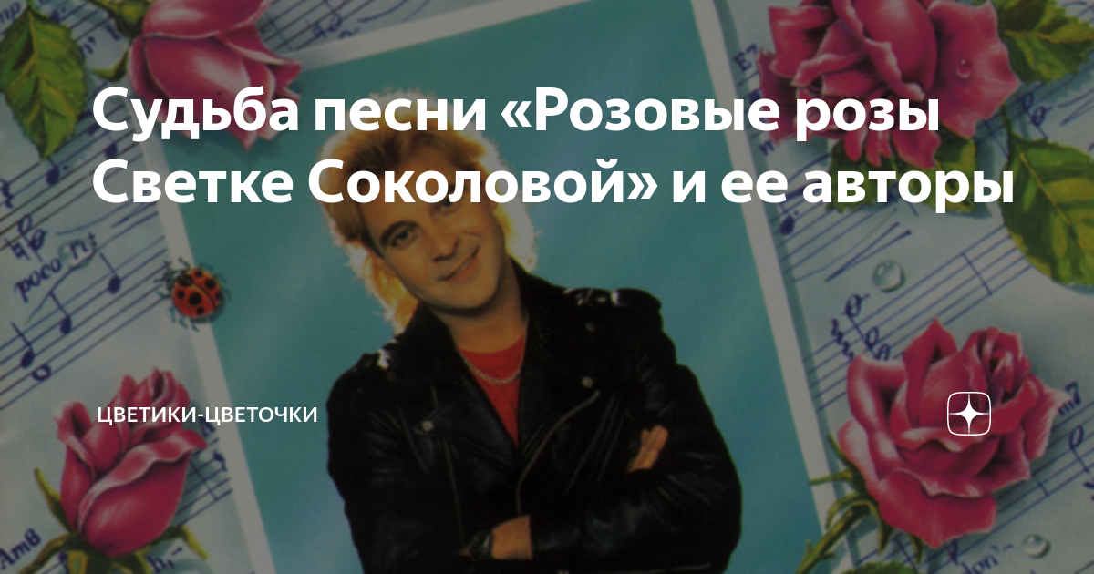 У светки соколовой день. Светка Соколова розовые розы. Песня роза. Розовые розы для светки Соколовой. Песни про розы