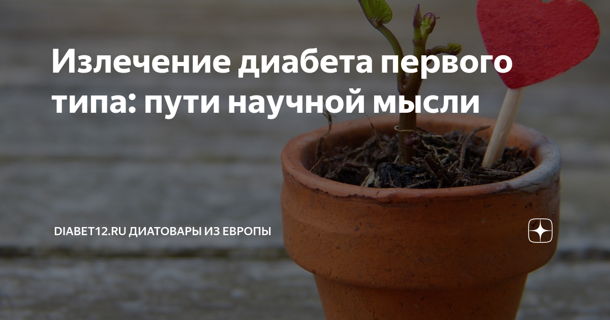 Основы социальной и психологической адаптации ребенка, больного сахарным диабето