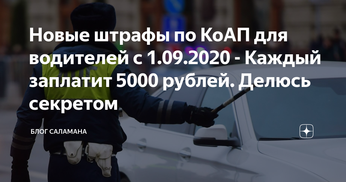 Проект коап 2020