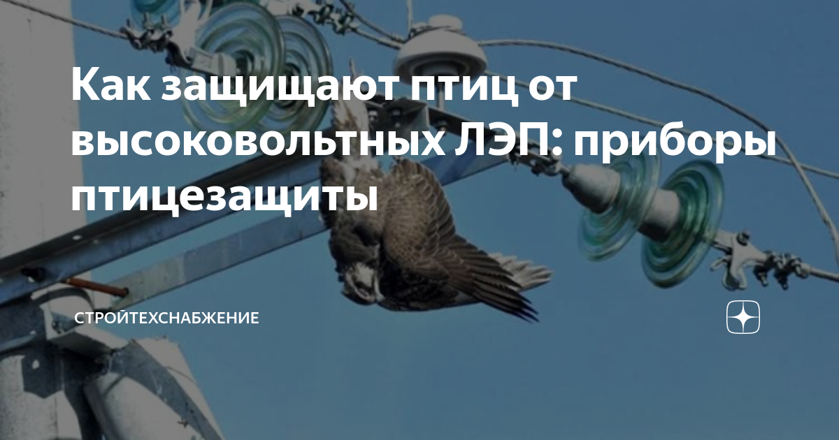 Как защищают птиц от высоковольтных ЛЭП: приборы птицезащиты ...