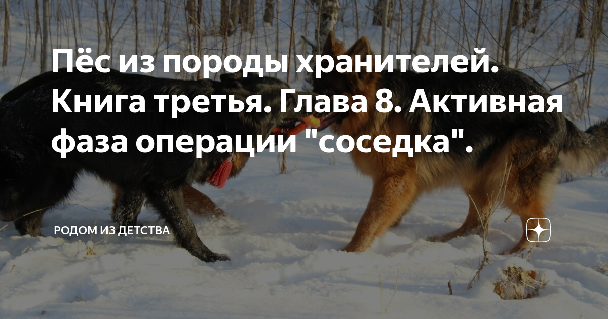 Пёс из породы хранителей. Книга третья. Глава 8. Активная фаза операции ...