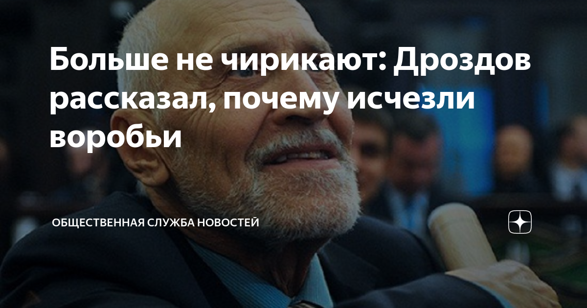 Больше не чирикают: Дроздов рассказал, почему исчезли воробьи ...