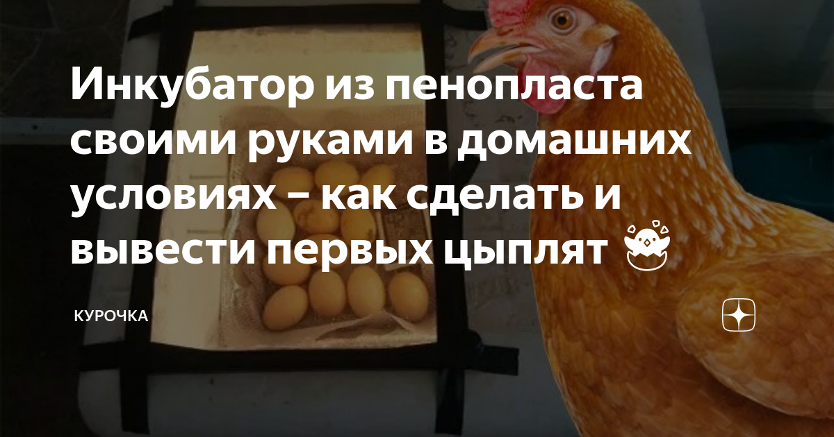 Как сделать простой инкубатор из пенопласта своими руками