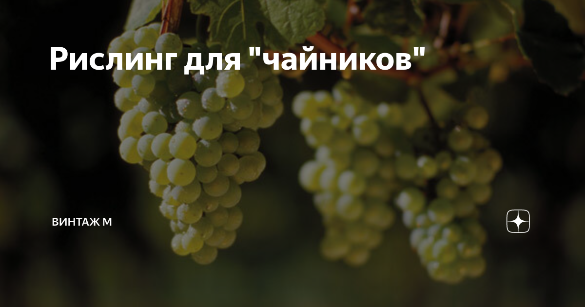 Рислинг для "чайников" | Винтаж М | Дзен