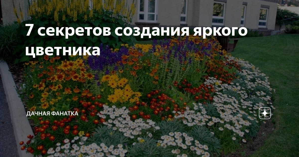 7 секретов создания яркого цветника | Дачная фанатка | Дзен