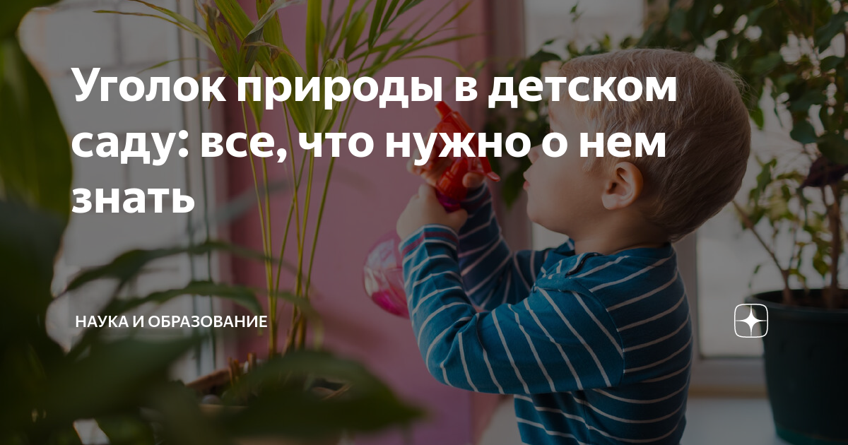 Уголок природы в детском саду: все, что нужно о нем знать | НАУКА И ОБРАЗОВАНИЕ | Дзен