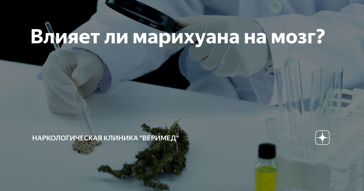Влияет ли марихуана на мозг? | Наркологическая клиника "Веримед" | Дзен