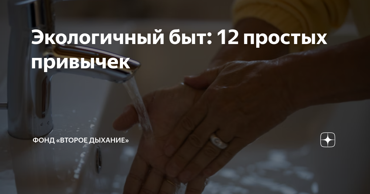 Экологичный быт: 12 простых привычек | Фонд «Второе дыхание» | Дзен