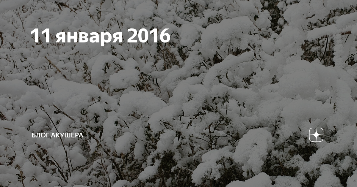 11 января 2016 | Блог акушера | Дзен