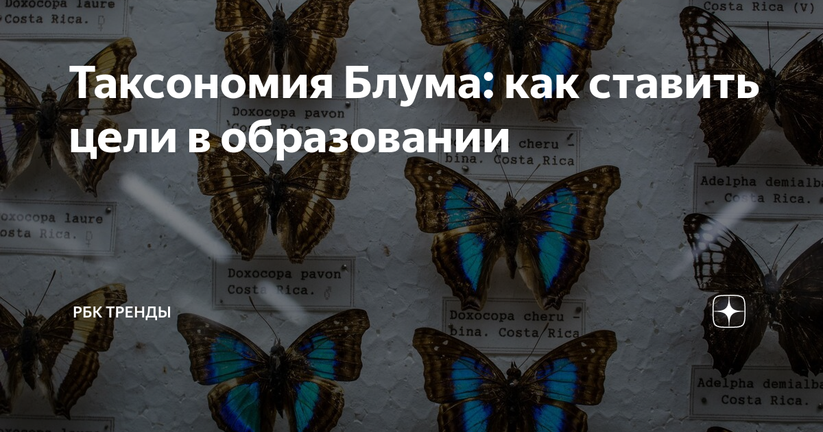 Таксономия Блума: как ставить цели в образовании | РБК Тренды | Дзен