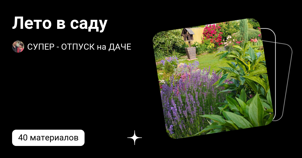 Лето в саду | СУПЕР - ОТПУСК на ДАЧЕ | Дзен