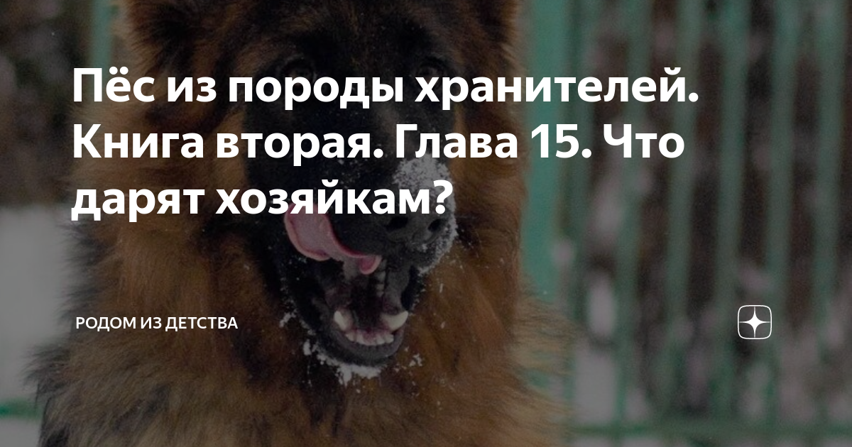 Пёс из породы хранителей. Книга вторая. Глава 15. Что дарят хозяйкам ...