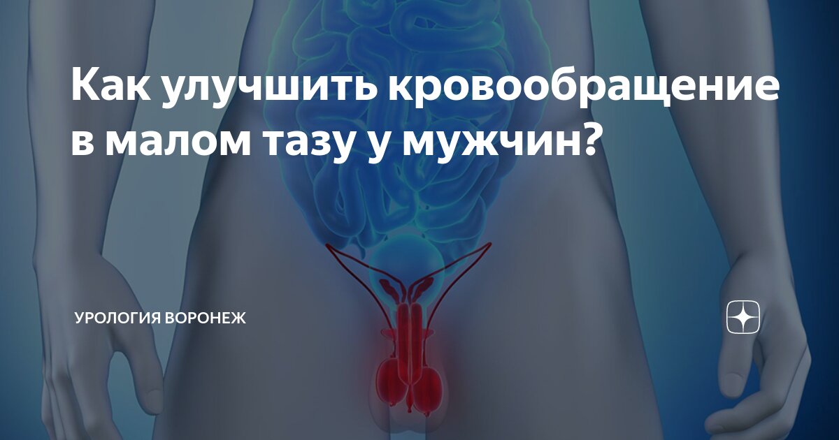 Упражнения для улучшения кровообращения в малом тазу для мужчин и потенций картинки