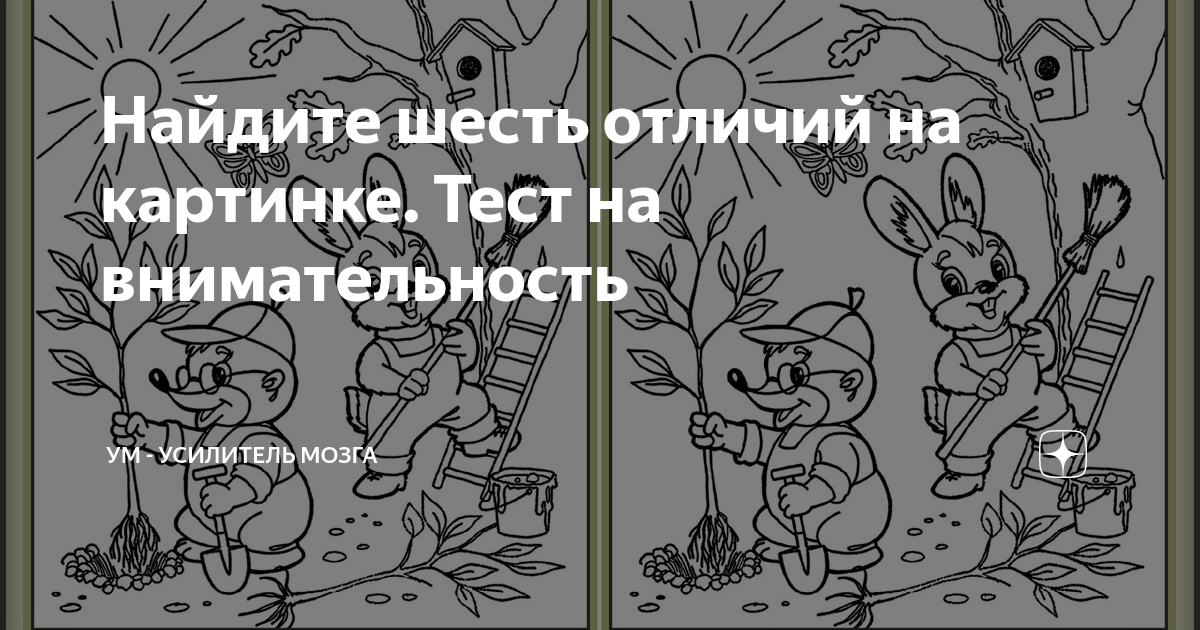 Найди отличия усилитель мозга. Отличия картинки. Найди 6 отличий. Тесты на отличия с картинками ответами. Тесты различий