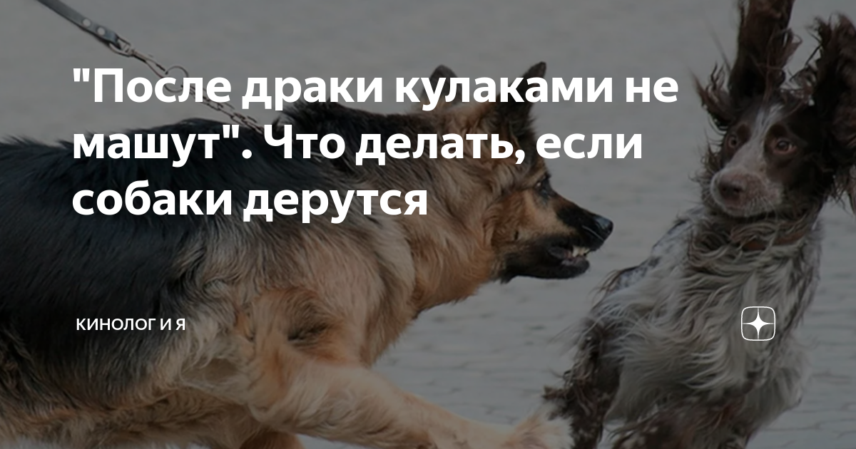 После драки кулаками не машет