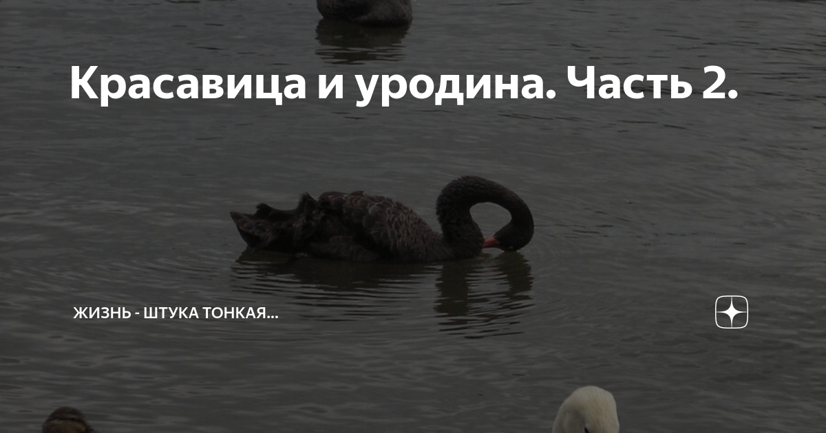 Дзен жизнь штука. Жизнь штука тонкая Яндекс дзен. Жизнь штука тонкая. Жизнь штука тонкая картинки. Жизнь штука тонкая цитаты