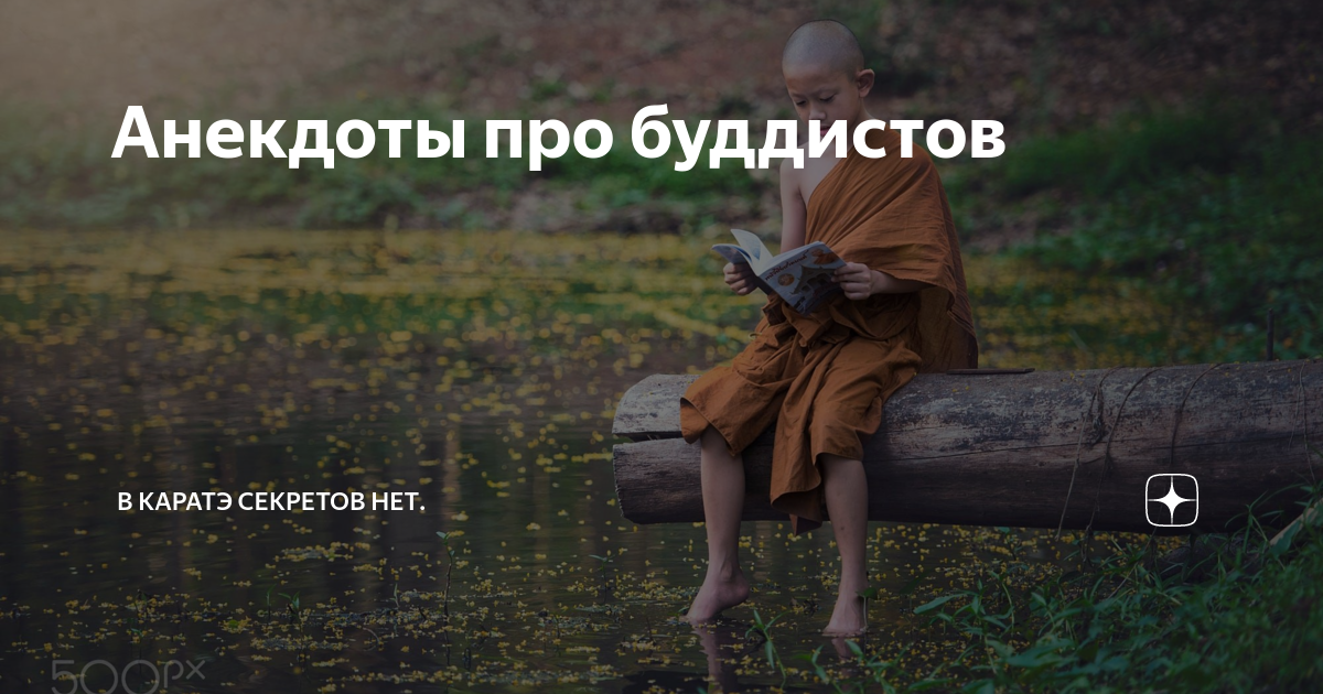 zen.yandex.ru