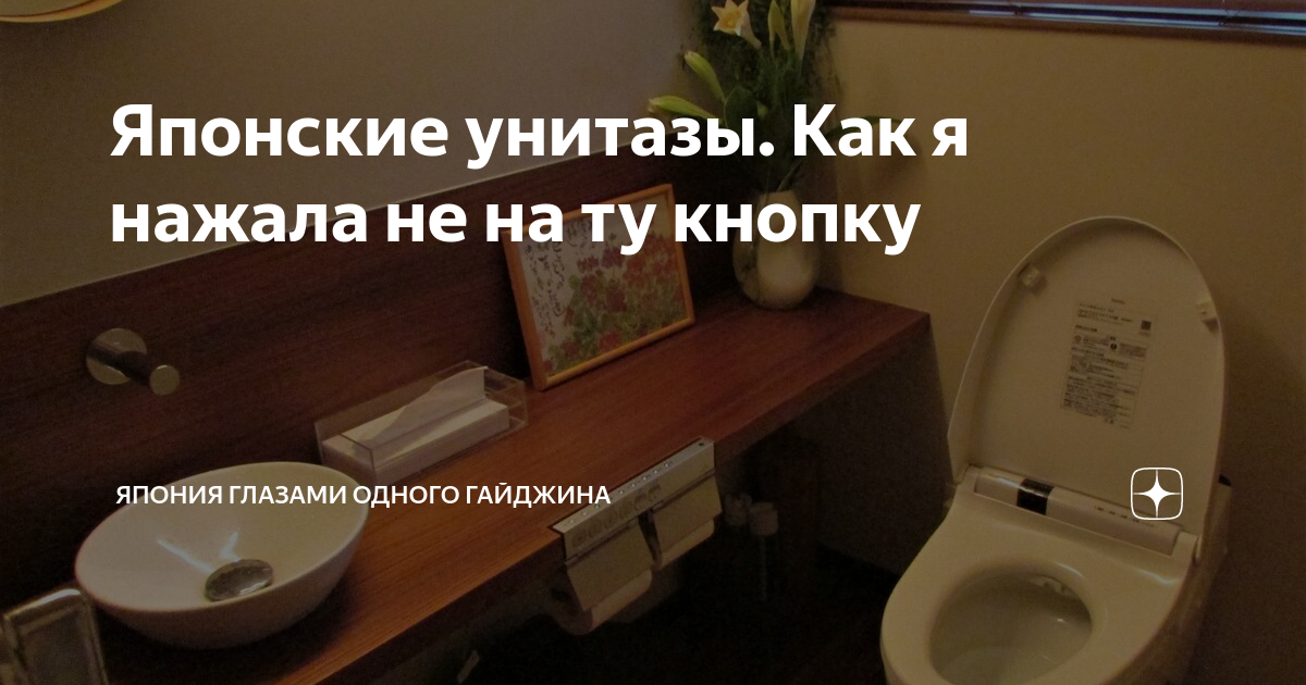 Япония глазами одного гайджина дзен. Японский унитаз с клизмой. Япония глазами одного гайджина Яндекс дзен. Туалет на японском языке