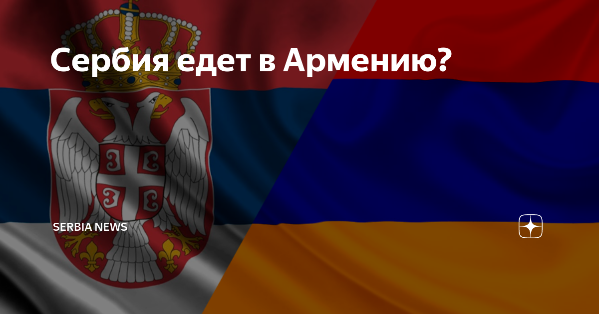 Ехать в сербию. Поехать в Сербию. Поехали в Сербию открытка. Кот в Сербии.