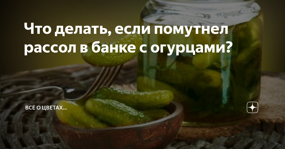 Что делать, если банки с огурцами помутнели