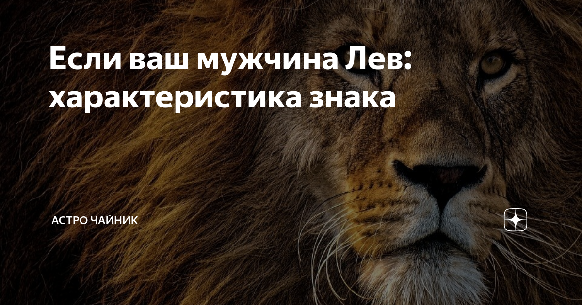 Что говорить мужчине льву. Характер Льва. Характер Льва парня. Скромный Лев мужчина. Лев мужик характер.