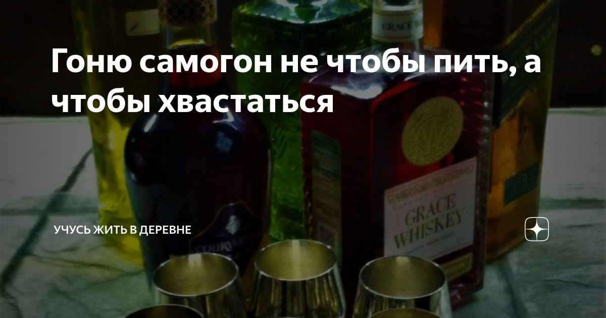 Гоню самогон не чтобы пить, а чтобы хвастаться | Учусь жить в деревне | Дзен