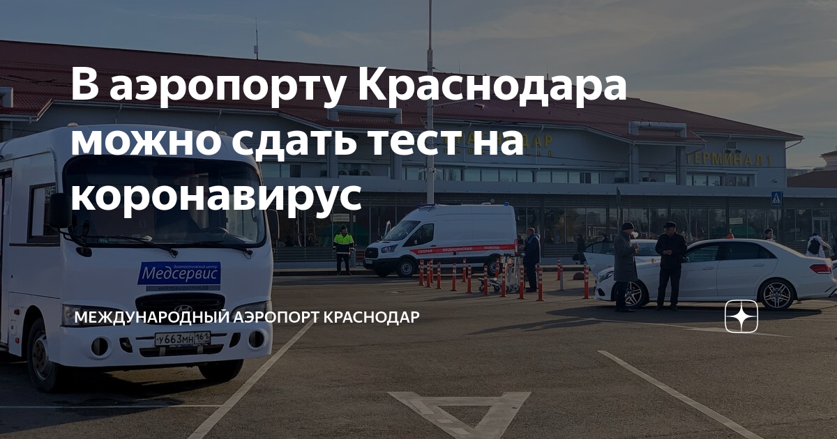 В аэропорту Краснодара можно сдать тест на коронавирус | Международный ...