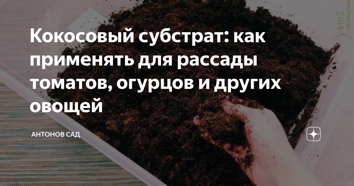 Кокосовый субстрат: как применять для рассады томатов, огурцов и других ...