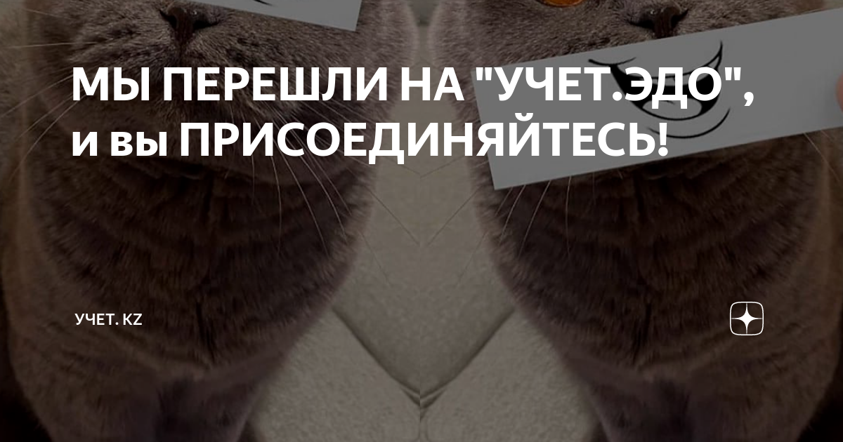 МЫ ПЕРЕШЛИ НА "УЧЕТ.ЭДО", и вы ПРИСОЕДИНЯЙТЕСЬ! | Учет. kz | Дзен