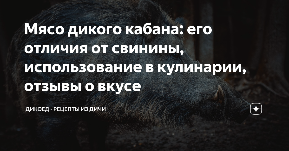 как готовить мясо кабана дикого