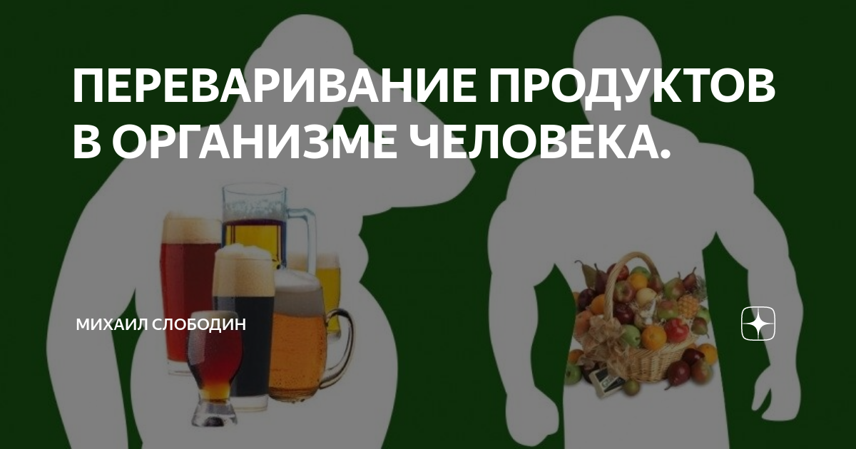 Сколько переваривается еда. В желудке пища перерабатывается. Сколько переваривается пища. Таблица переваривания продуктов. Долго переваривается пища в желудке