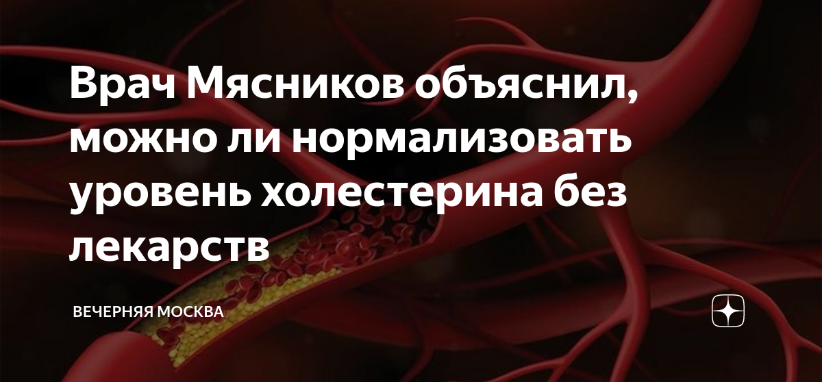 Нормализовать холестерин без лекарств. Как снизить холестерин без лекарств? Шишонин. Среда от холестерина без врачей.