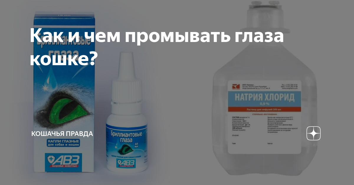 Какой водой промывать глаза. Средство для промывания глаз у кошек. Средство для промыва глаз. Средство для протирания глаз кошкам. Раствор для протирания глаз у кошек.