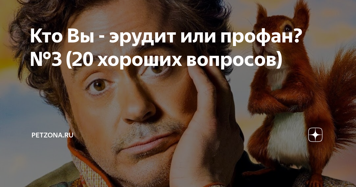 Профан осиливший только два курса 8 букв. Тони профан. эрудированный профан.