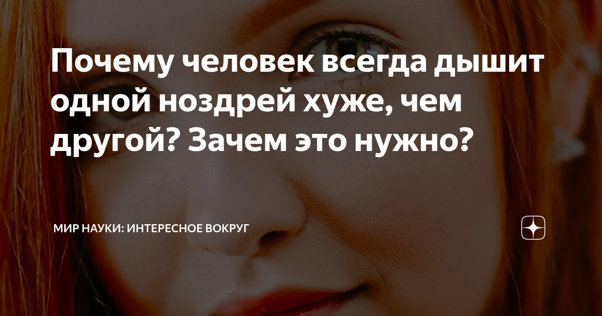 Ученые рассказали, почему люди обычно дышат только одной ноздрей. Читайте на luchistii-sudak.ru