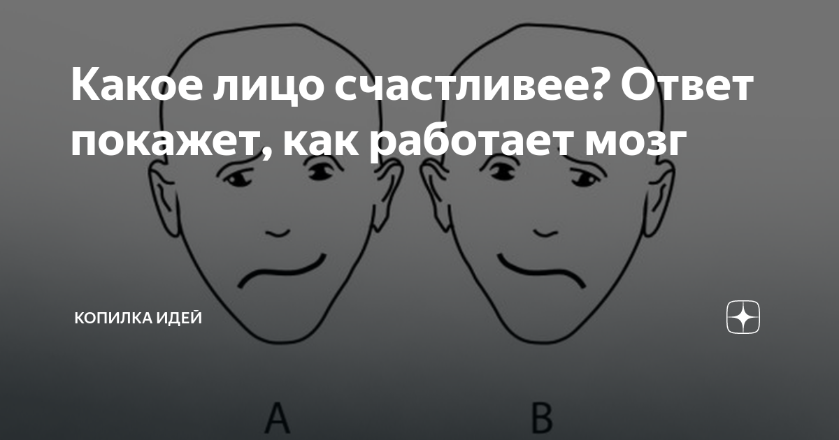 Лицо какое заслужила. Мозг копилка. Признаки ума на лице. Говорим какое лицо. Распустятся какого лица.