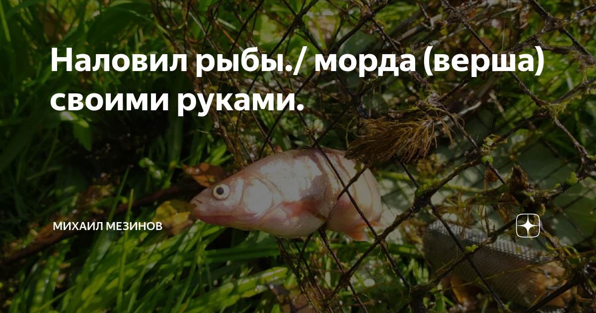 Мордушка для ловли рыбы своими руками Морда Верша Кубарь - Смотреть видео онлайн