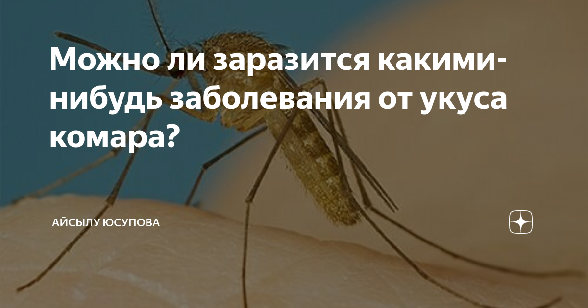 Если против какой нибудь болезни предлагается. Переносят ли комары болезни. Москиты пути заражения.