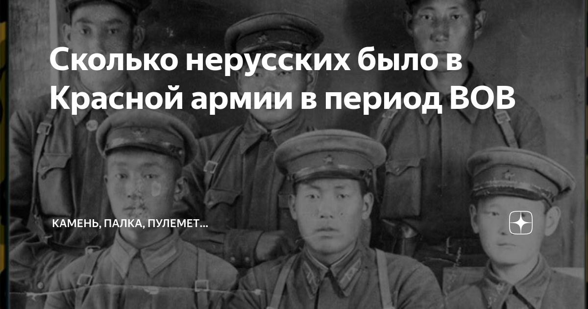 Сколько нерусских было в Красной армии в период ВОВ | Камень, палка,  пулемет... | Дзен