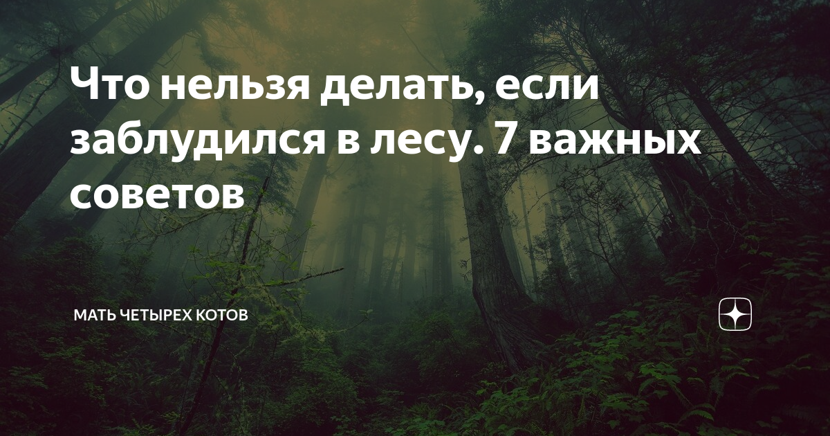 Что делать, если вы или кто-то другой заблудились в лесу