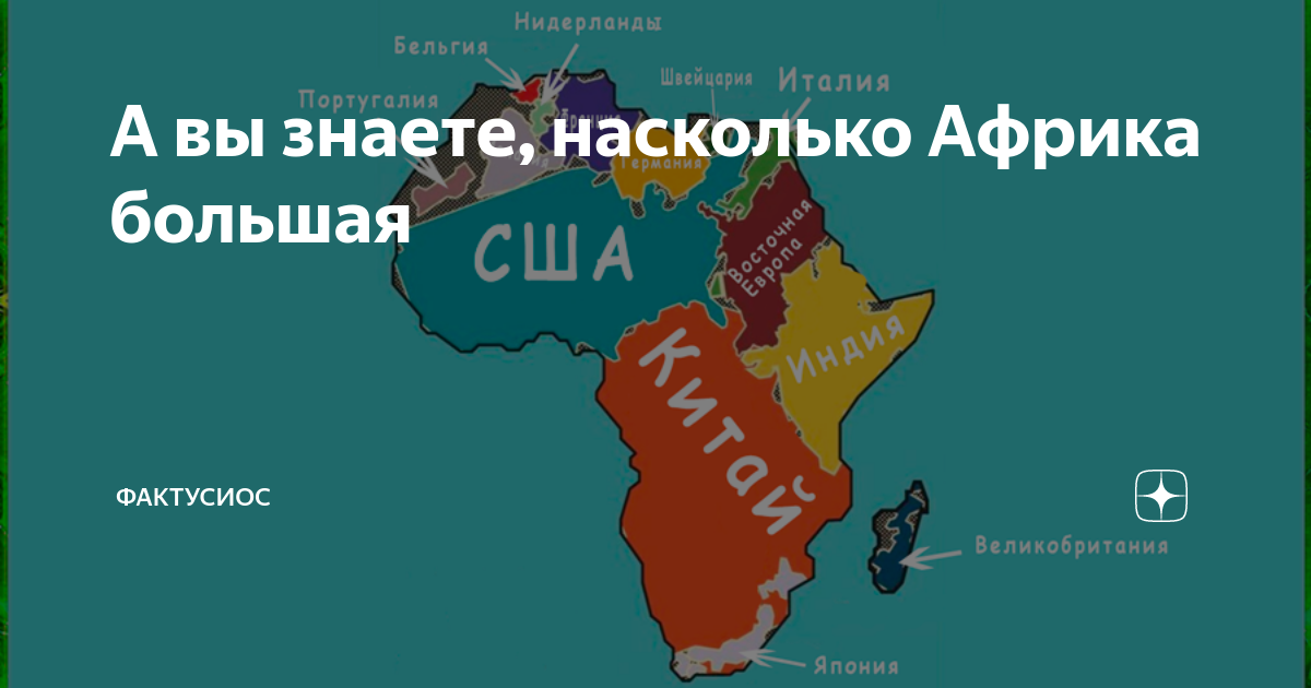 африка больше россии. Adansonia digitata баобаб адансония пальчатая. африка шире. африка шире. большая пятерка".