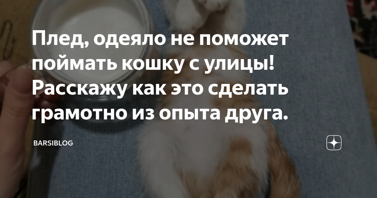 Используйте привлекающие звуки