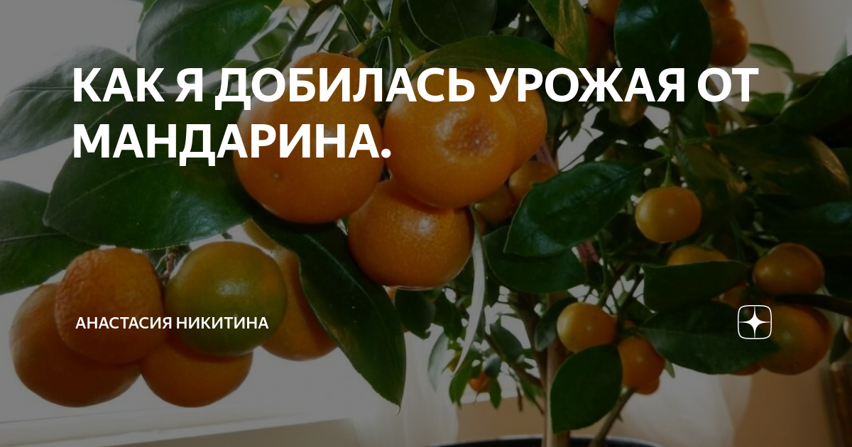 Как добиться урожая