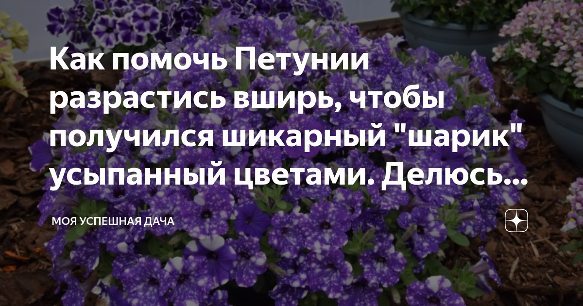 Проделайте опыт показанный на рисунке 107 зарисуйте результаты опыта при различном сжатии шарика