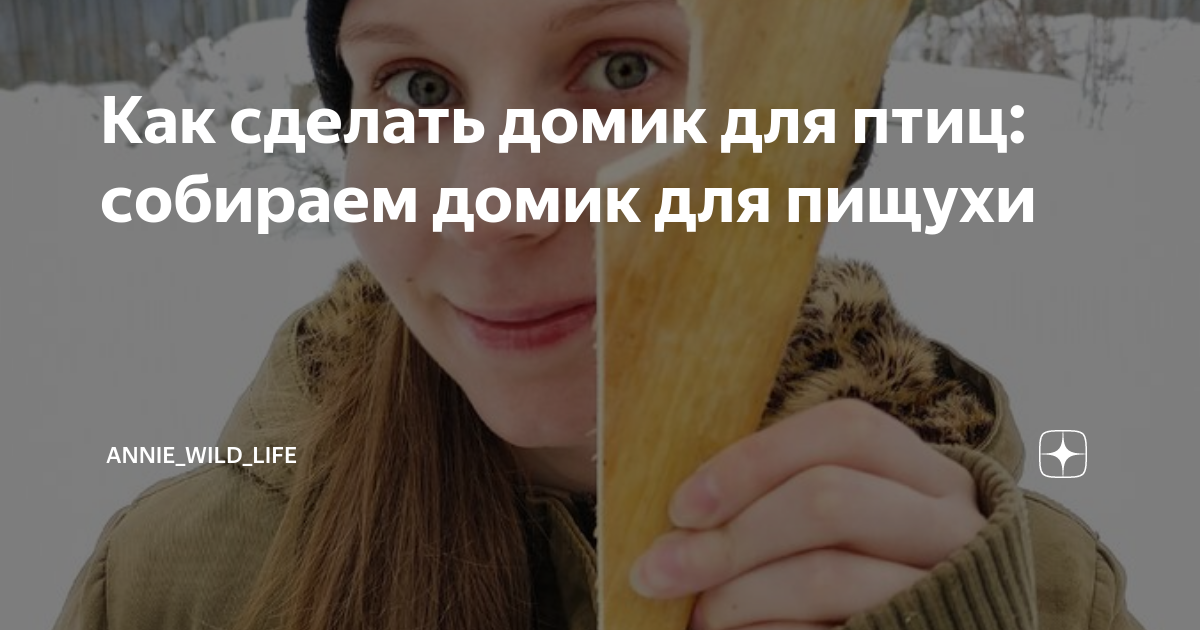 Как сделать домик для птиц: собираем домик для пищухи | Природа и ...