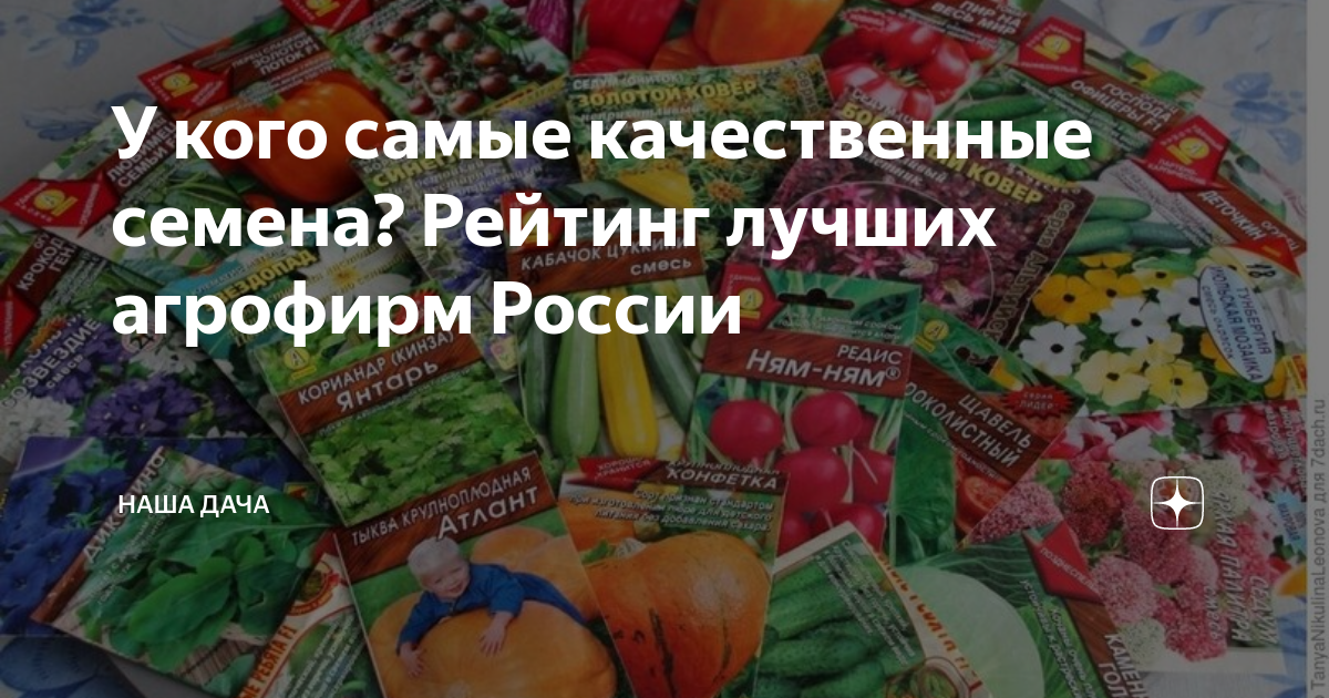 У кого самые качественные семена? Рейтинг лучших агрофирм России | Наша ...