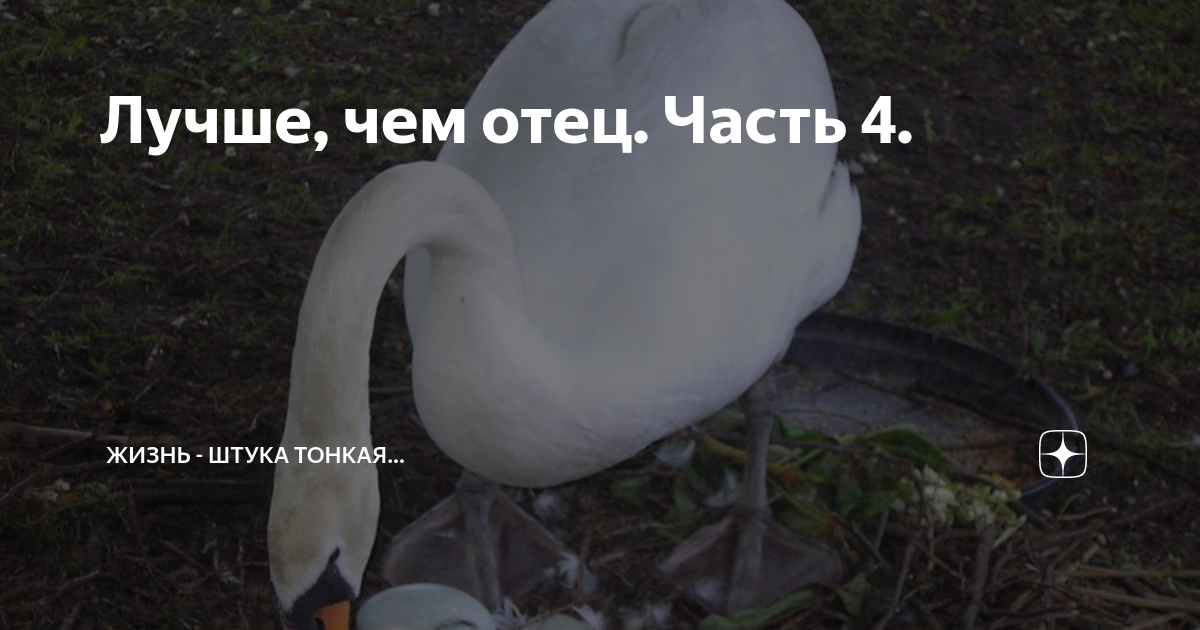 Дзен жизнь штука. Жизнь штука тонкая дзен. Жизнь штука тонкая. Жизнь штука тонкая Яндекс дзен