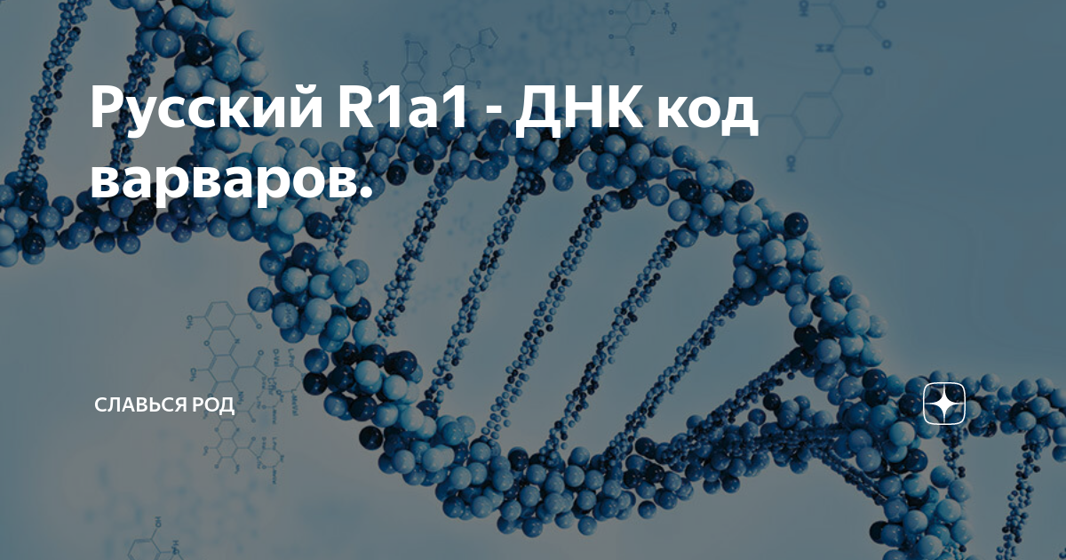 Днк за январь 2024 год. У русских r1a субстрат