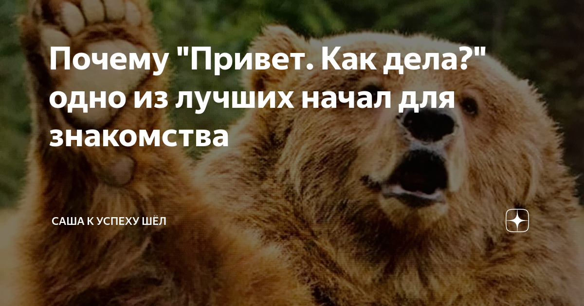 Надпись ава ушла в отпуск. Привет юмор. Пользуясь случаем передаю привет всем кто ещё без привета. Привет всем почему всем. Привет всем почему всем.